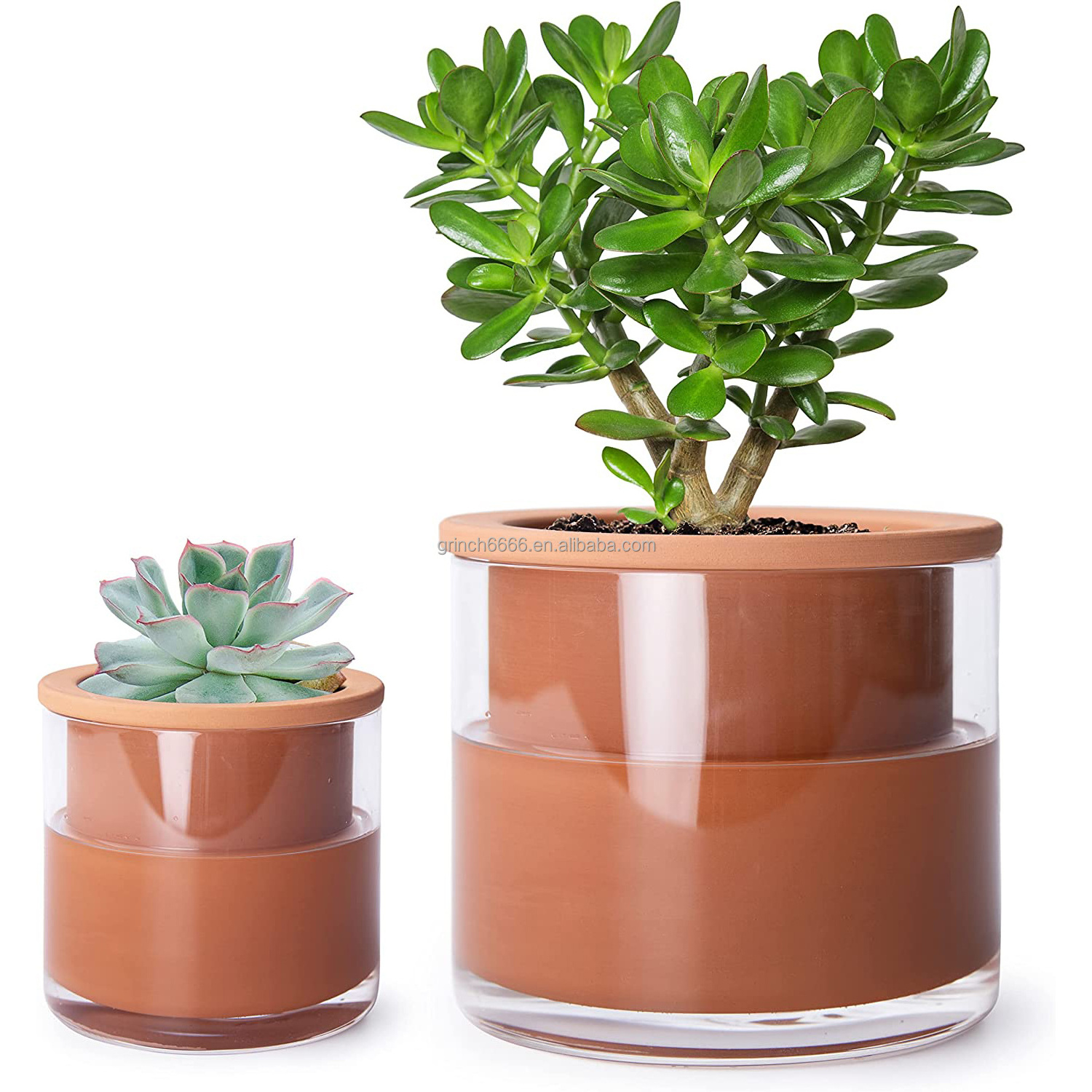 2023 Self Watering Plants Pots Design Clay Terracotta Pots for Plants Indoor Cylinder Terra Cotta Planter with Glass Vase Set