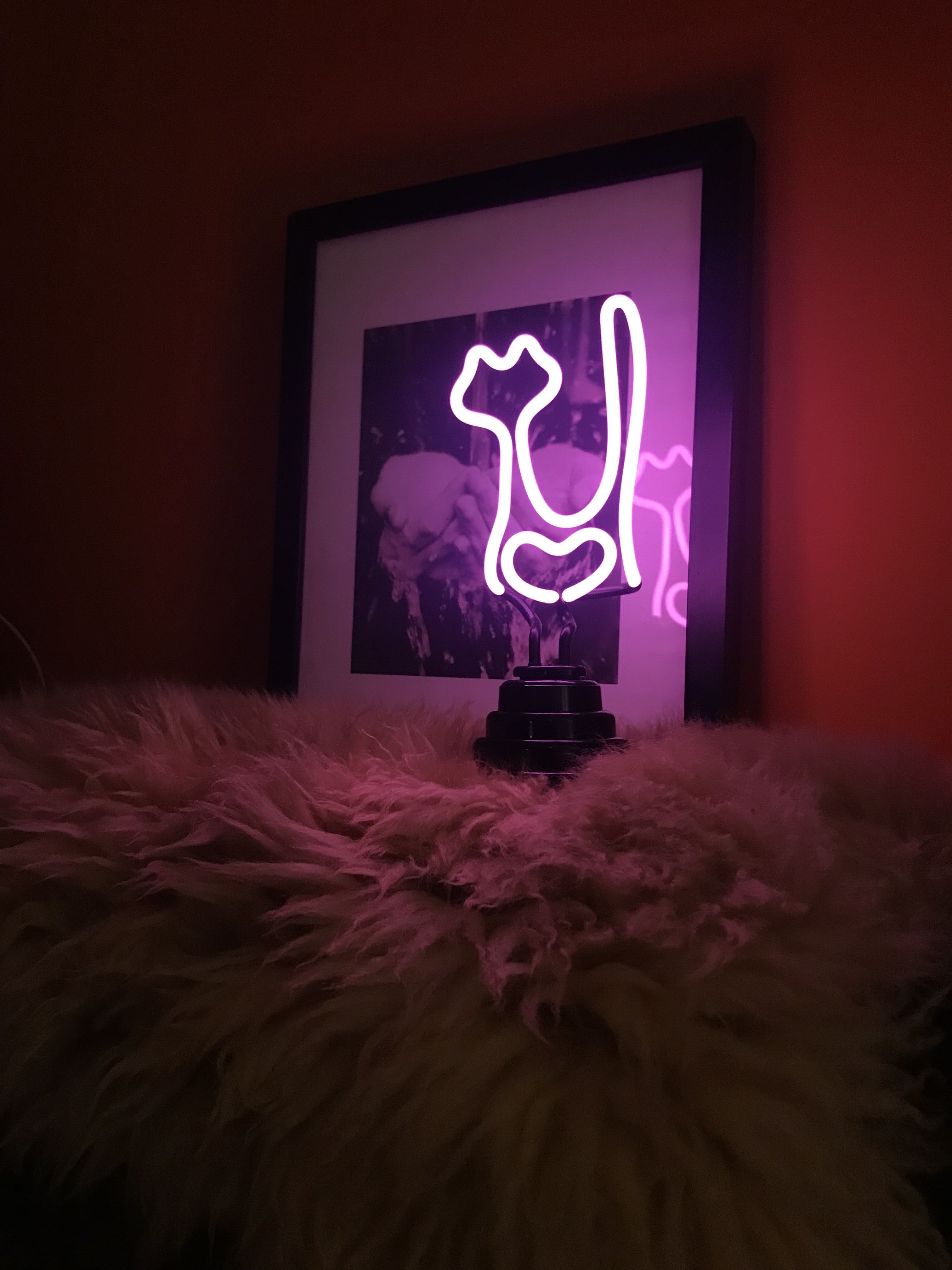 Cat Durable Custom Decoration Real Glass Neon Light Signs Wall Decor