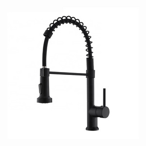 Kitchen Faucet New Design Flexible Hose 360 Degree Rotating Dual Mode Stainless Steel Brass Black Water Tap