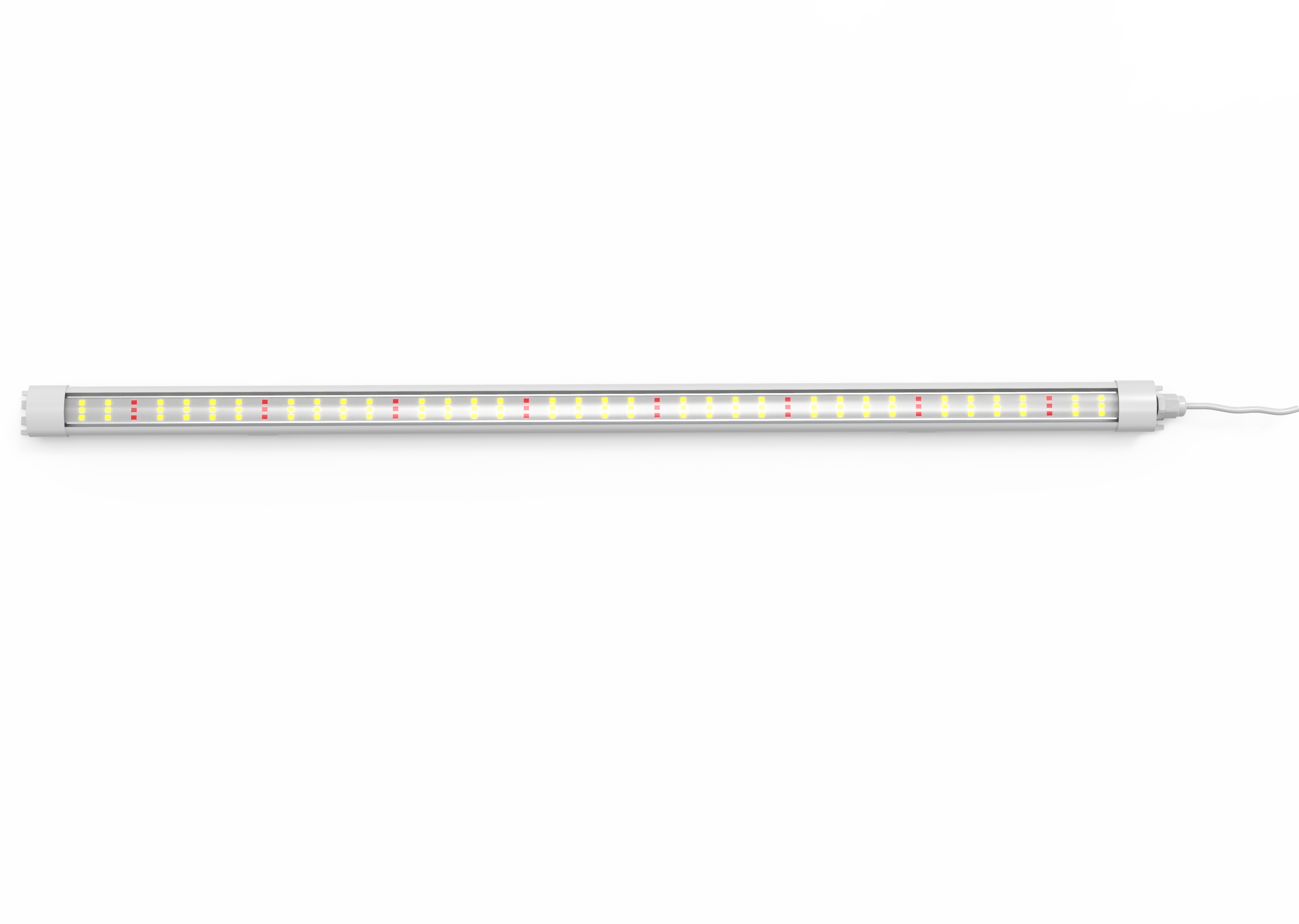 Grow4Max Best Choice 30w 40w Sunlight White LED Grow Tube Lights for strawberry growing in Racks