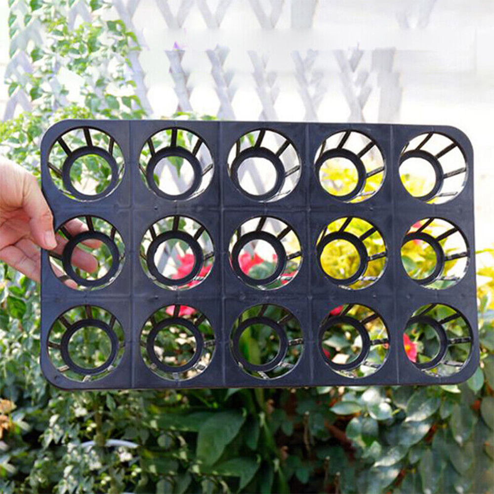 12 Cells Hole Plant Plug Growing Moth Orchid Trays For Greenhouses