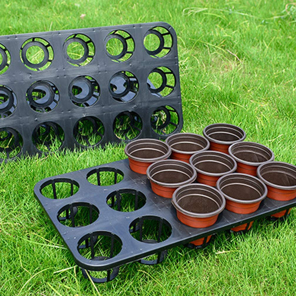 12 Cells Hole Plant Plug Growing Moth Orchid Trays For Greenhouses