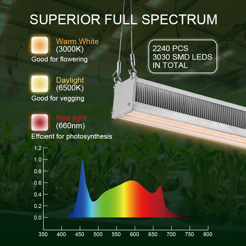 Mester Wholesale Greenhouse Ip65 Waterproof 600 Watt  Led Plant Grow Light Grow Lights Full Spectrum Led