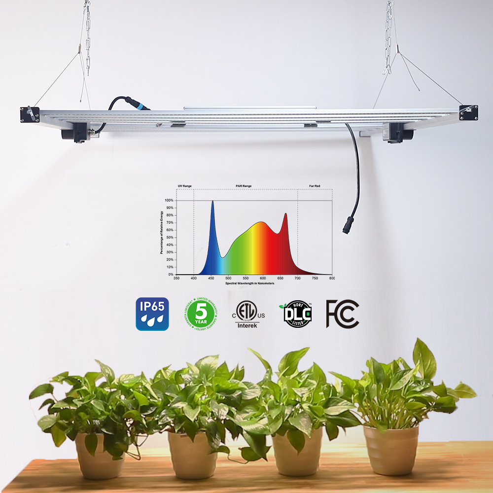 horticulture led grow lights grow led light