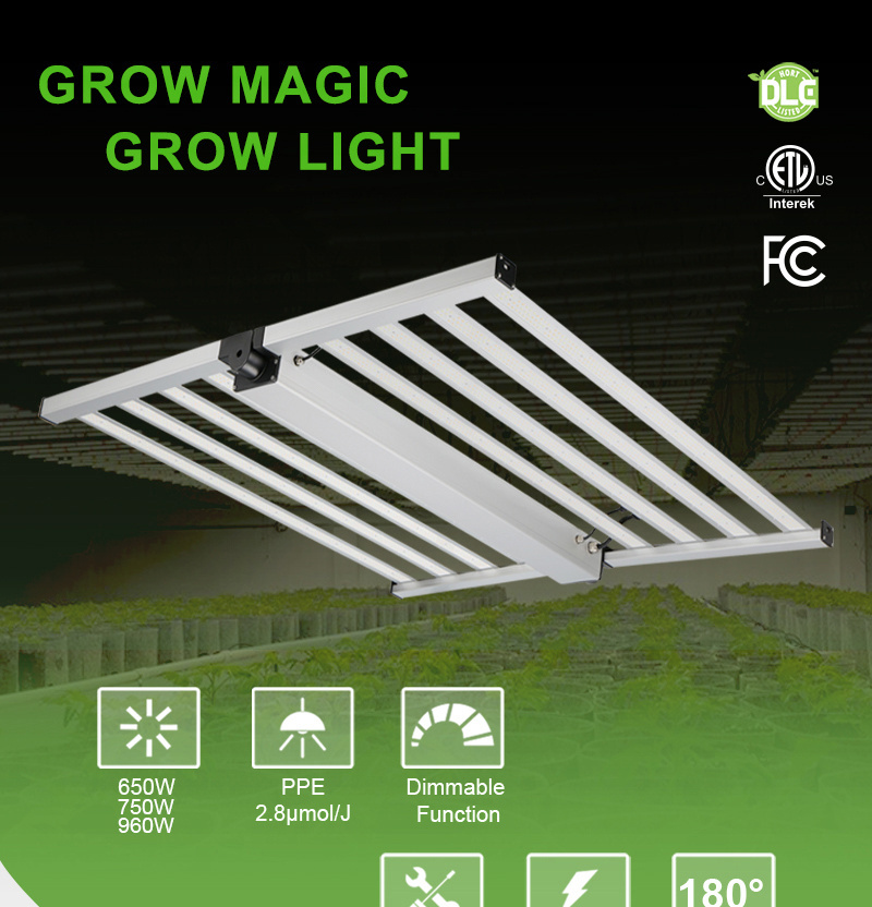 Mester USA Stock Promotion Samsung 660nm lm301b lm301h 1000W 800W 720W 600W Dimmable Foldable LED Grow Light for Indoor Plant