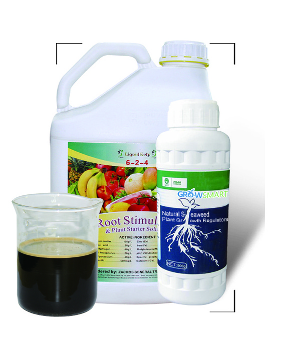 Nutrients Humic Acid Seaweed Grow Stimulant Organic hydroponics Liquid Fertilizer Plant Prices