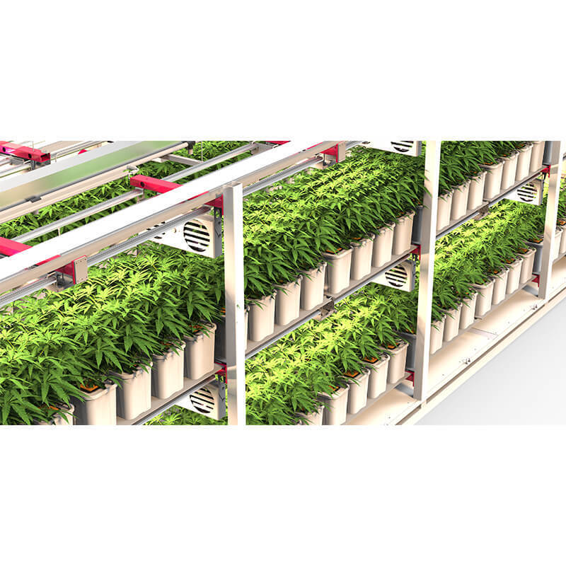 shipping container best cutivation room for indoor plants with environmental control