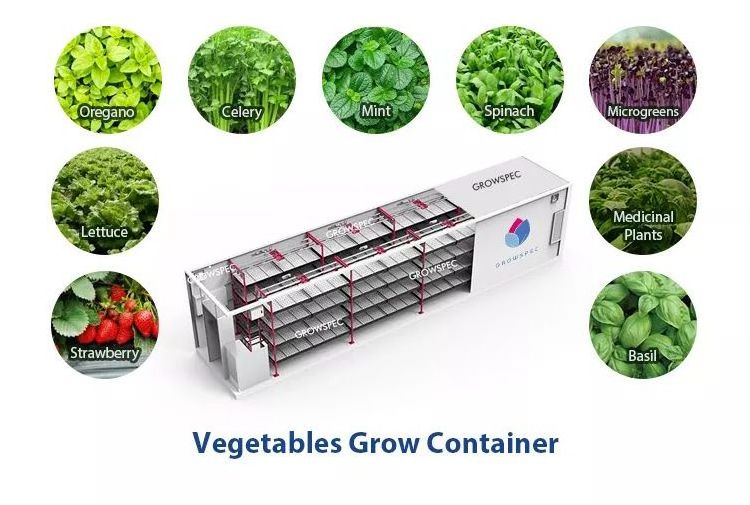 GrowSpec Container Farm Automatic Smart Farm Aeroponics Growing System for Multiple Crops