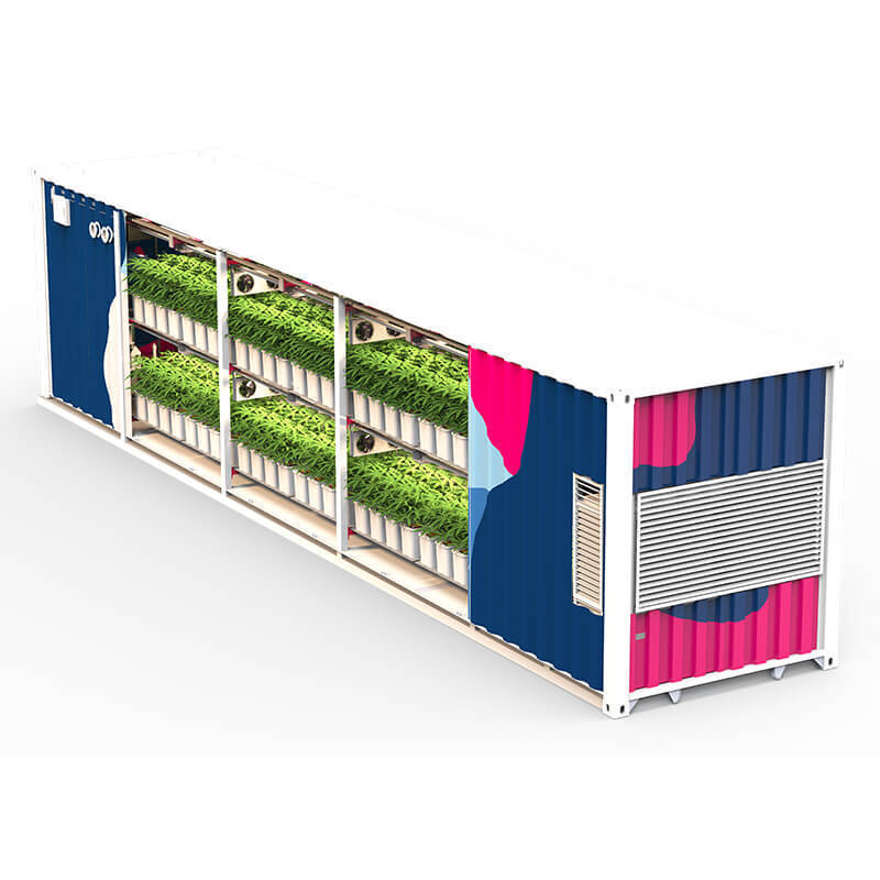 shipping container best cutivation room for indoor plants with environmental control