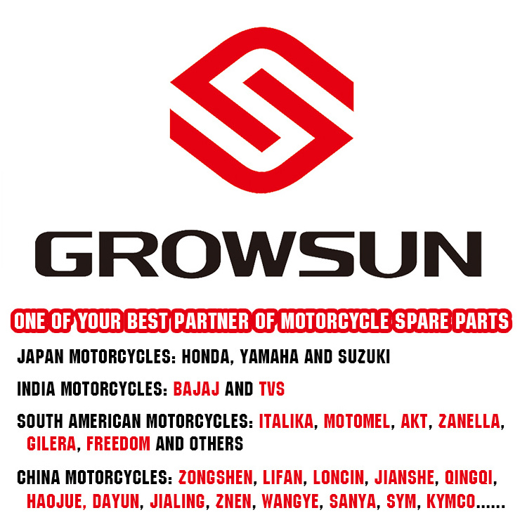 FUTURE110 Complete Plastic Parts Motorcycle Parts and Accessories From Growsun Motor