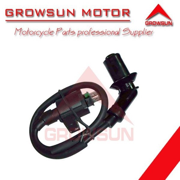 Hot selling cheap price motorcycle parts of IGNITION COIL FOR ITALIKA DS150