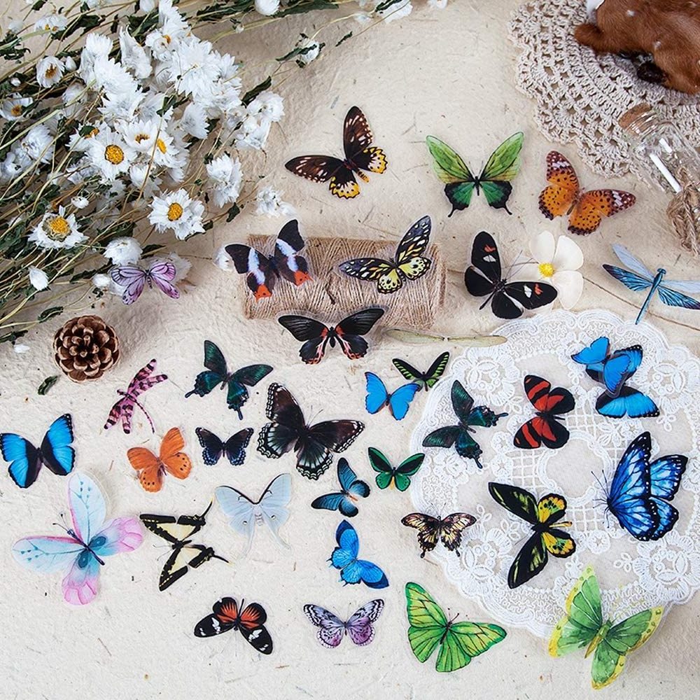 Butterfly Bird insect Dragonfly  flower Sticker sets Decals for Scrapbook DIY  Album  Clear  PET  transparent  sticker