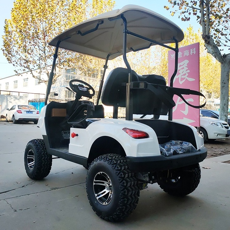 Miniature Usa 48v Battery Lithium Ion Electric Off Road Golf Cart 2 Seater With Bms Used For Mobility Scooter Electric Golf Cart