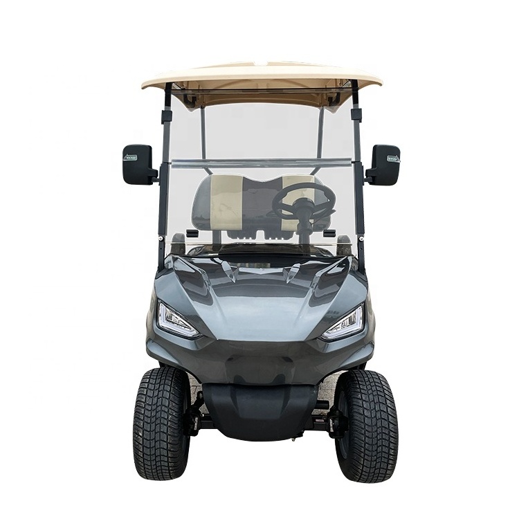 Utility Model T Fast Zone Electric 4x4 Golfr Cart 2 Seate Lithium Battery With Cargo Box Free Shipping  Electric Golf Cart