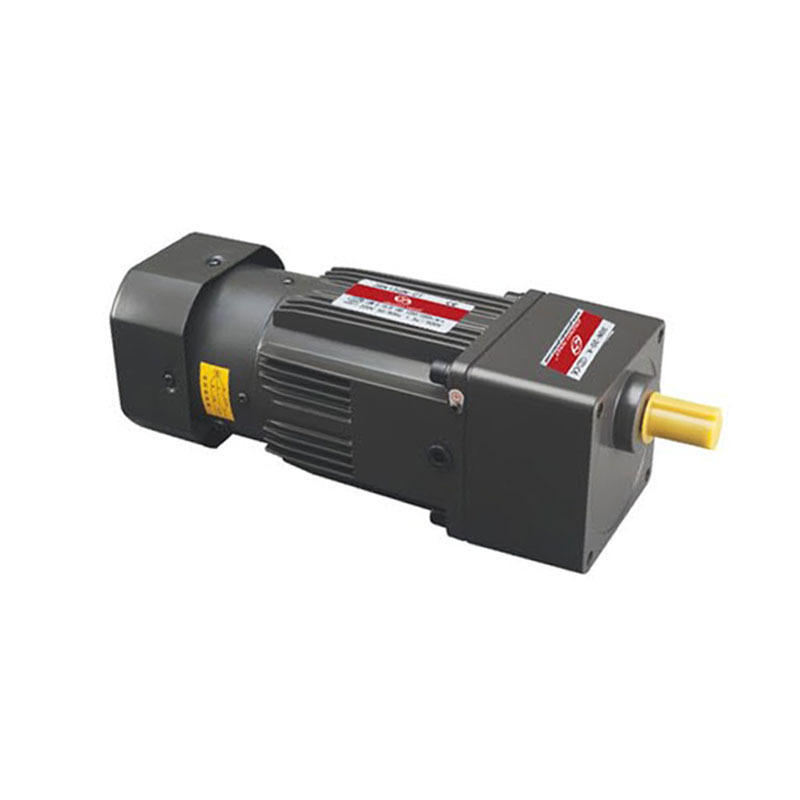 Factory price 120w AC 120V 220V reversible Induction Gear Motor with Speed Controller for conveyor mixer