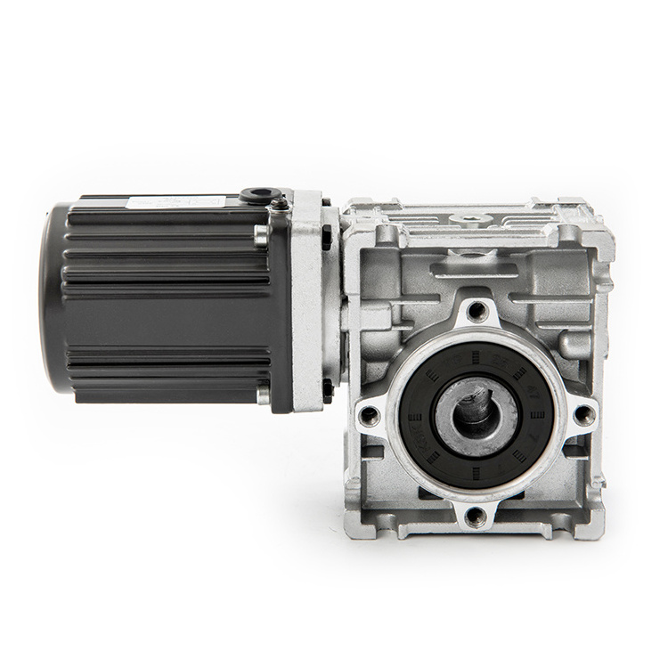 6W~40W 60W~370W Variable Speed Induction with NMRV Worm Gearbox Speed Reducer AC Gear Motor