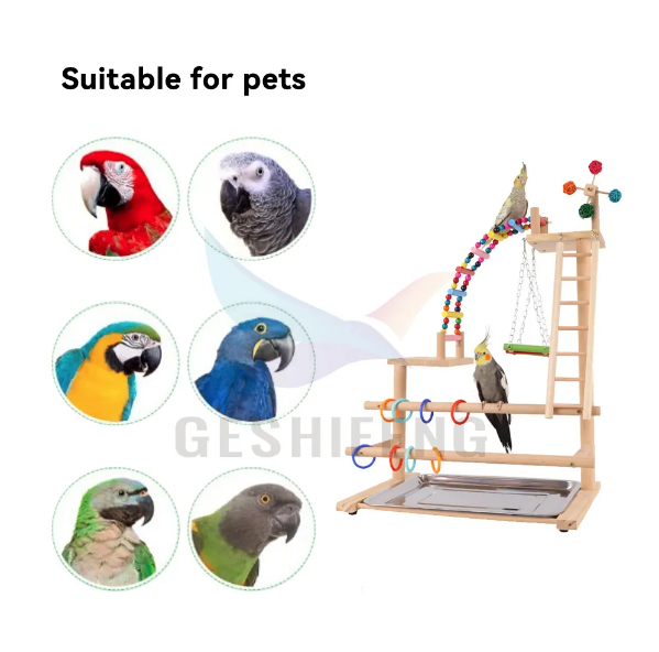 Dnn Bird Toys Ring Climbing Birds Accessories Ladder Swing Big Bird Stand From Geshifeng//