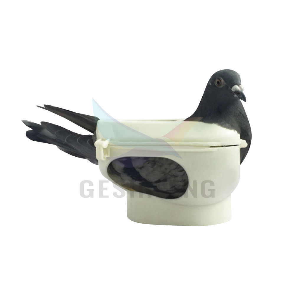 Pigeon fixer/pigeon holder for pigeons