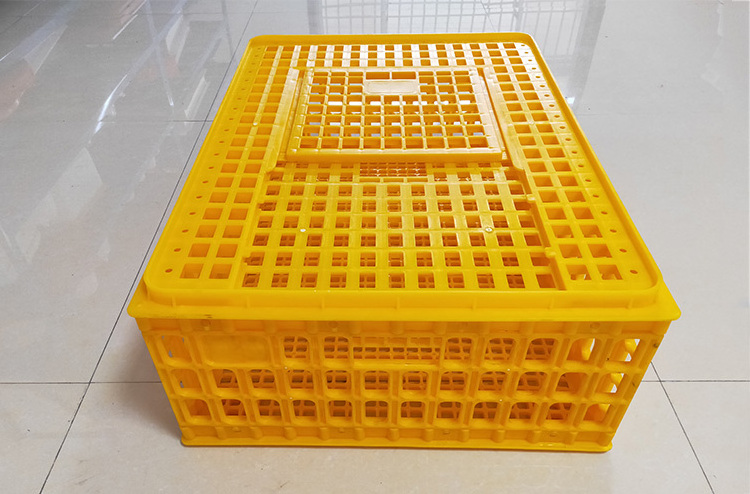 Wholesale Price Farm Poultry Transport Cages 75*55*33cm Broiler The Transport Cage Chicken Cage For Transport Of Chicken/