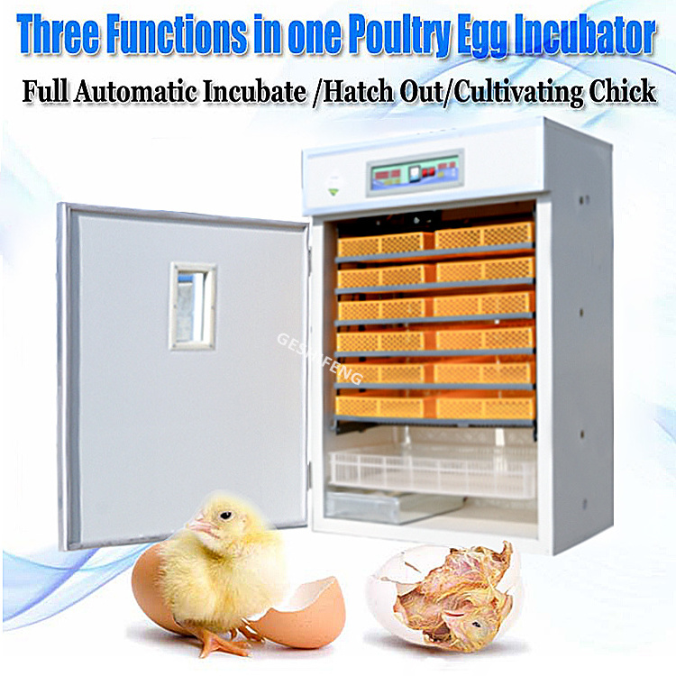 220V Hot sale Dual Power incubator Poultry egg incubator 1000 chicken egg capacity