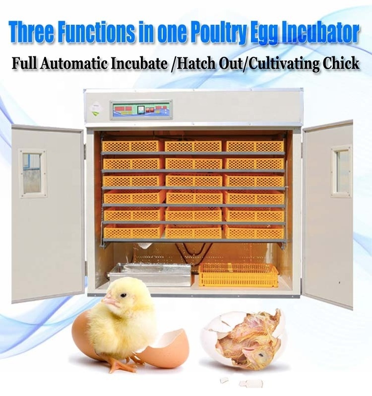 1232 Hot Sale Egg Hatchtery Machine Automatic Macaw Parrots Egg Incubator For Sale