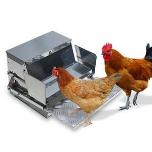 Geshifeng Large Capacity Automatic Chicken Feeder Poultry Animal Feeder For Chicken