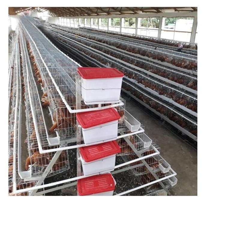 Hot Sale Automatic A Type Egg Laying Cage Price Breeding Hens Battery Layer Chicken Cage For Used In Poultry Farming Equipment