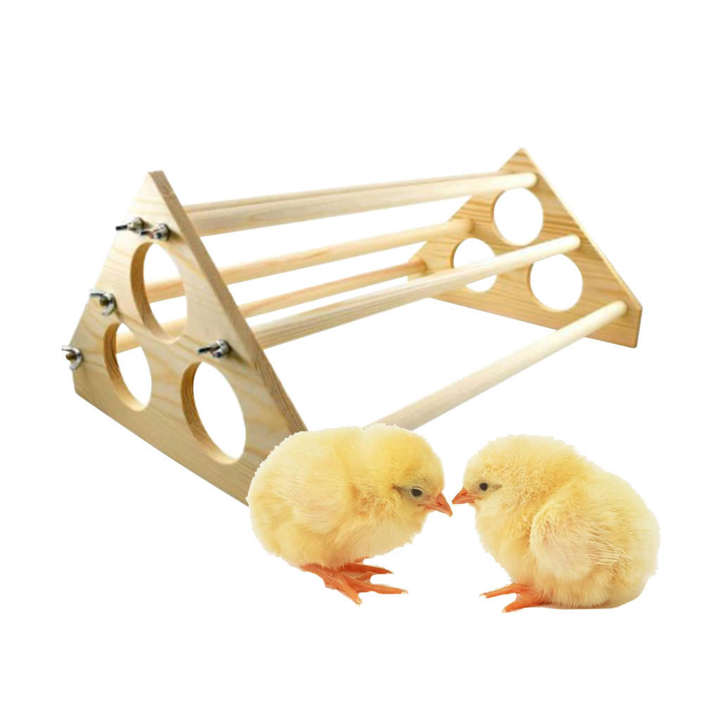 Perch Toys for Coop and Brooder for Large Bird Baby Chicks