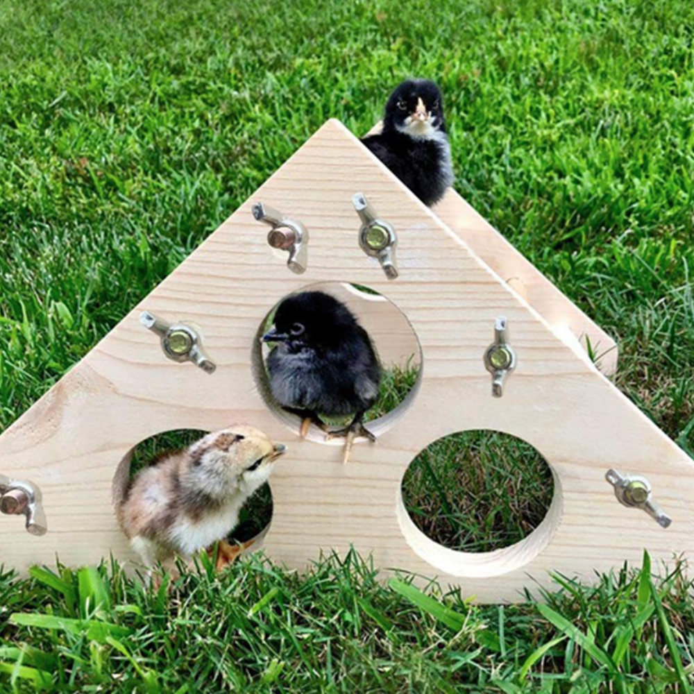 Perch Toys for Coop and Brooder for Large Bird Baby Chicks