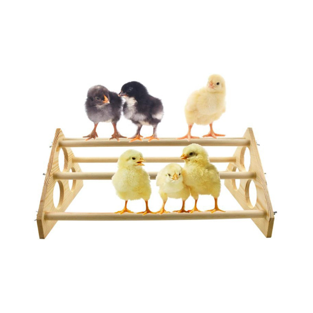 Perch Toys for Coop and Brooder for Large Bird Baby Chicks