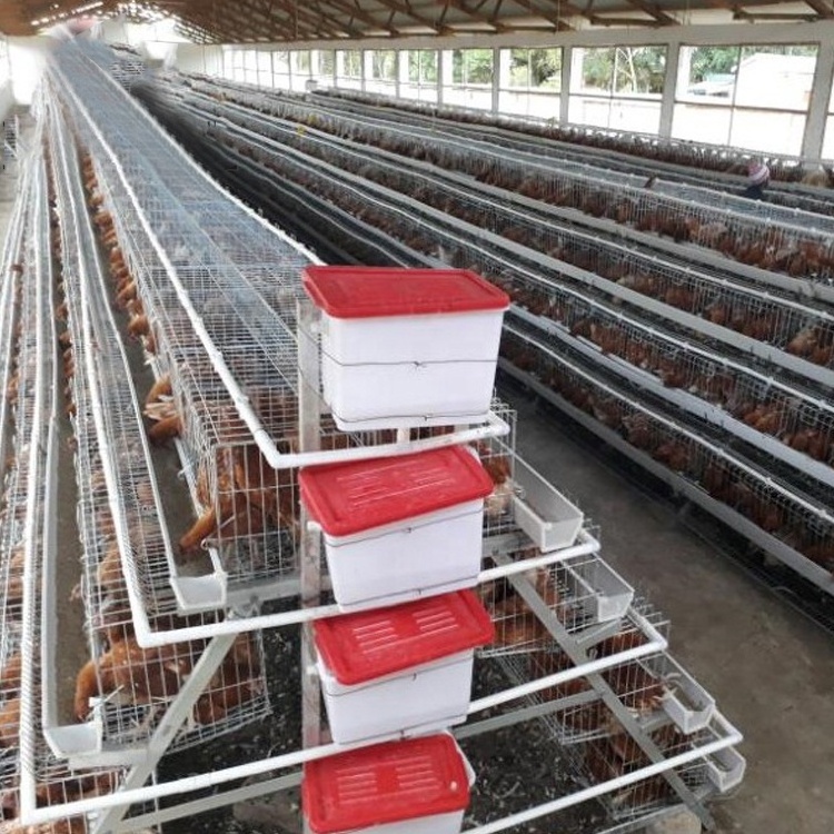 Poultry Breeding Equipments Automatic Broiler Chicken Steel Wire Cages Large Poultry System Cages Home Used Foldable Cages