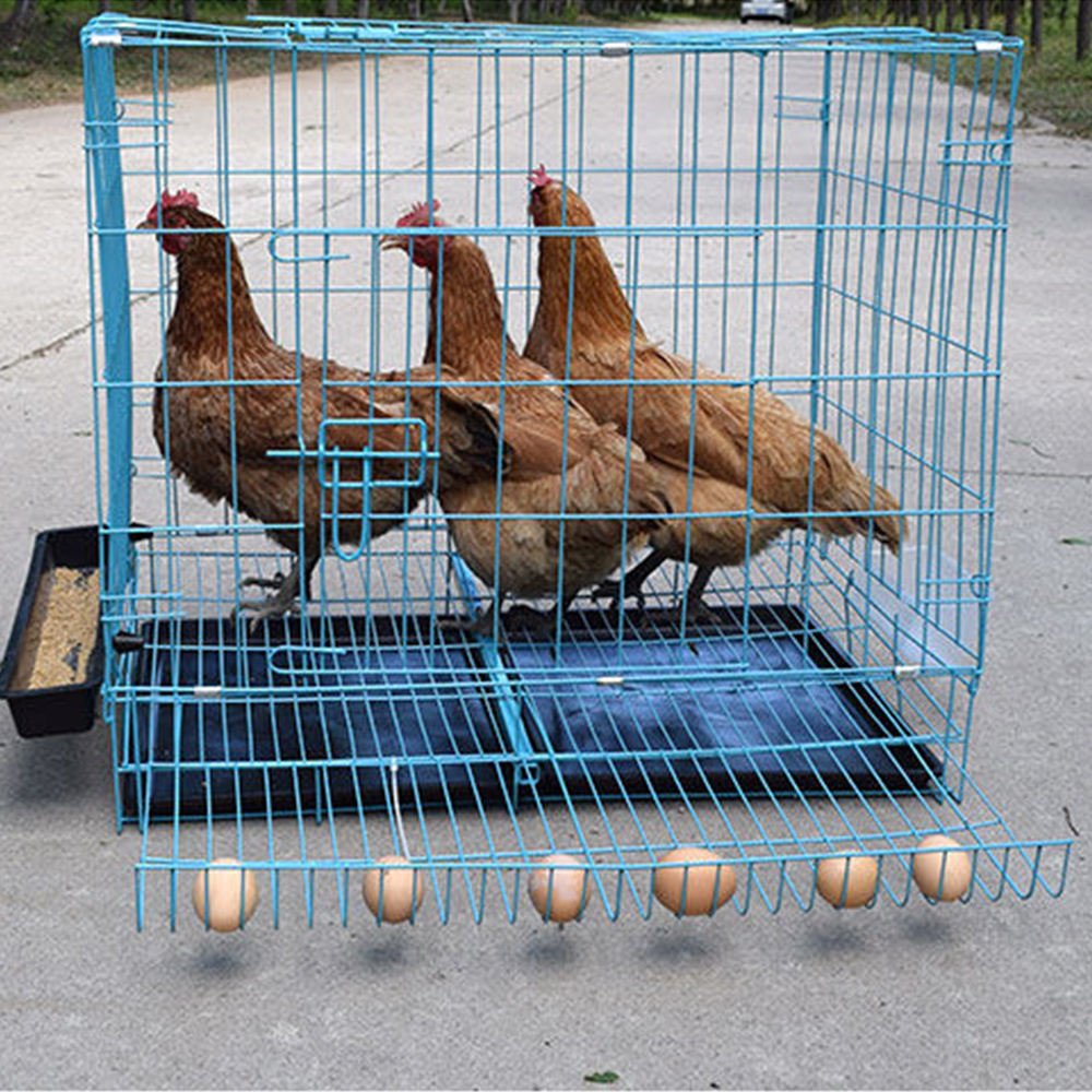 Poultry Farm Folding Egg Laying Layer Broiler Chicken Cage For Sale