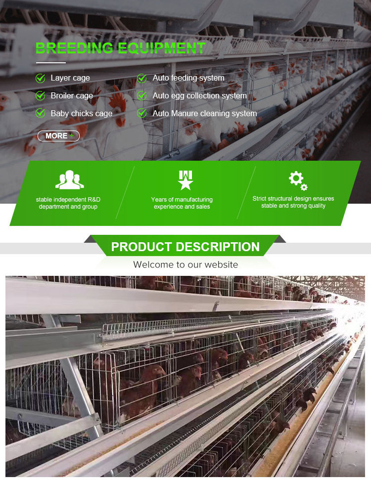 Hot Sale Automatic A Type Egg Laying Cage Price Breeding Hens Battery ...