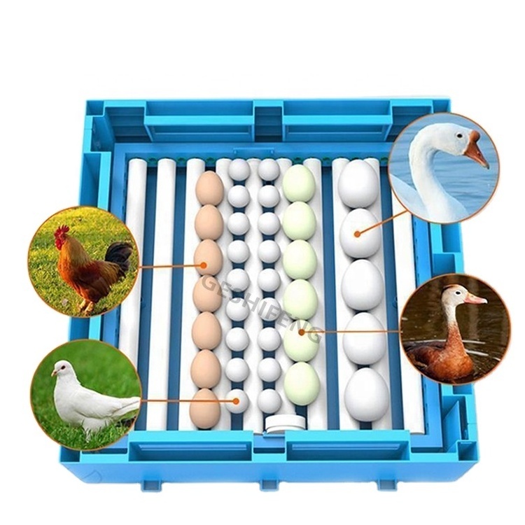 Fully Auto 98% Hatching Rate 48 Eggs Automatic Poultry Chicken Egg Incubator