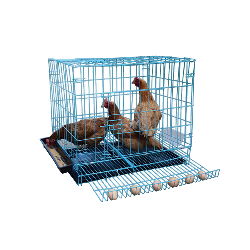 Poultry Farm Folding Egg Laying Layer Broiler Chicken Cage For Sale