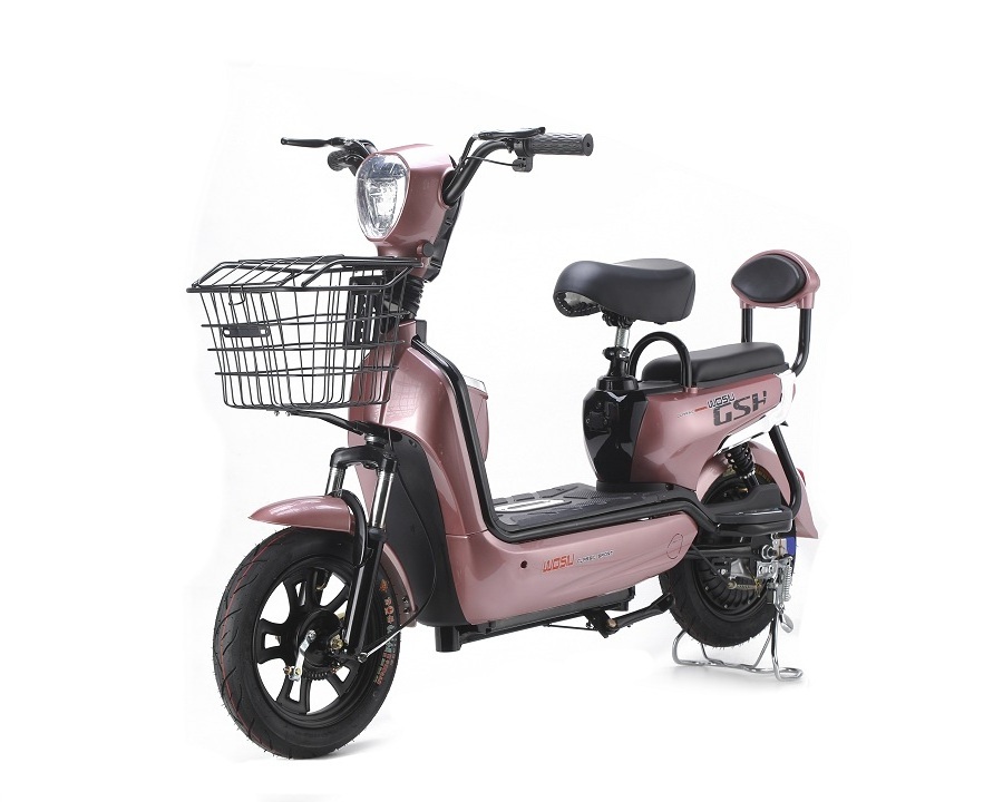 2023 new model 48v 1000w 750W Electric Bicycle E Bike Fat Tire Chopper Electric Bike motorcycles