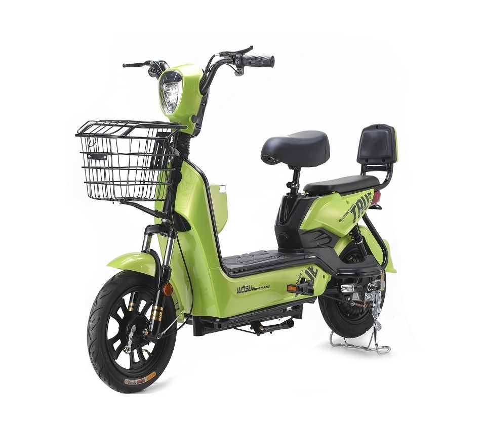 2024 China New Type Electric Scooter 2 Seater 48v 350w Electric City Bike With Pet Ev Bike With Pet E Cycle Electric Bicycle