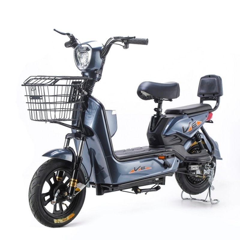 2024 China New Type Electric Scooter 2 Seater 48v 350w Electric City Bike With Pet Ev Bike With Pet E Cycle Electric Bicycle