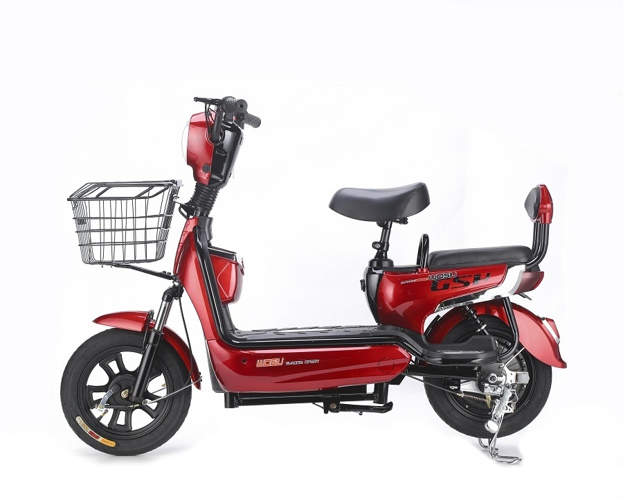 2023 new model 48v 1000w 750W Electric Bicycle E Bike Fat Tire Chopper Electric Bike motorcycles