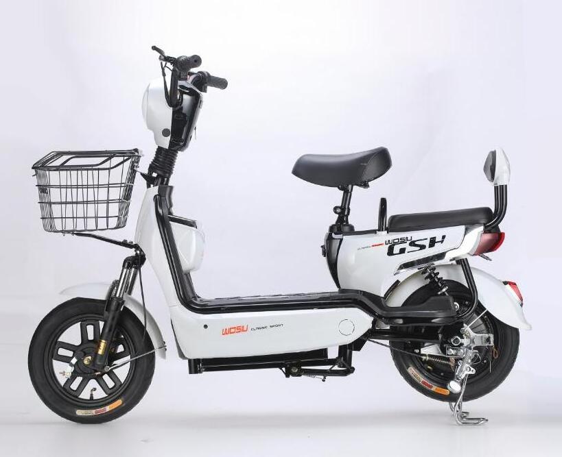 2023 new model 48v 1000w 750W Electric Bicycle E Bike Fat Tire Chopper Electric Bike motorcycles