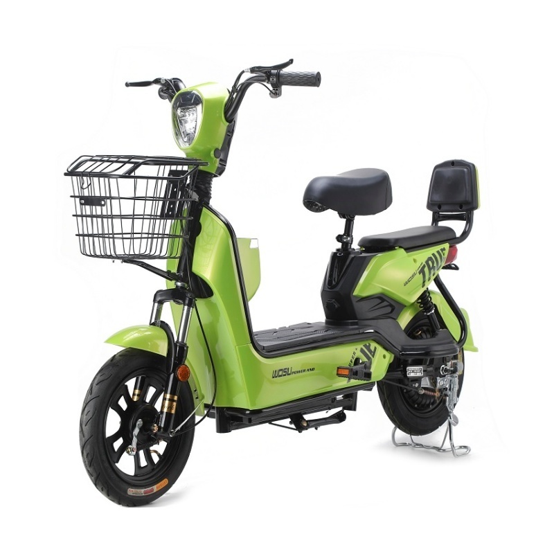 2024 China New Type Electric Scooter 2 Seater 48v 350w Electric City Bike With Pet Ev Bike With Pet E Cycle Electric Bicycle