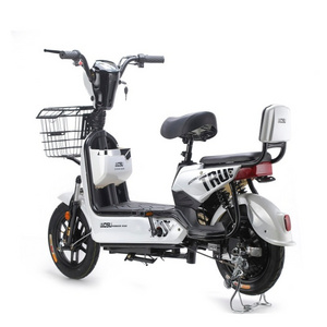 2024 China New Type Electric Scooter 2 Seater 48v 350w Electric City Bike With Pet Ev Bike With Pet E Cycle Electric Bicycle