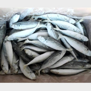 Frozen Fish Horse Mackerel 100-120 Scad Trawl Catching IQF Round Scad