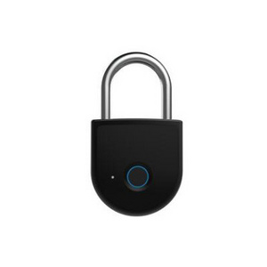 Fingerprint padlock smart small lock dormitory cabinet lock fingerprint anti-theft lock warehouse gym fingerprint unlock