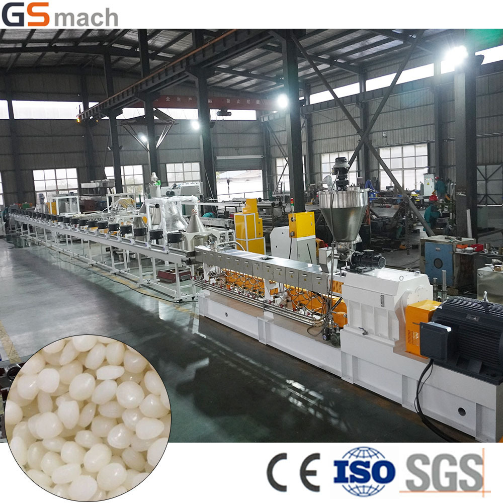 GS50 Starch Biodegradable Plastic Granules Making Machine Extruder twin screw extruder machine