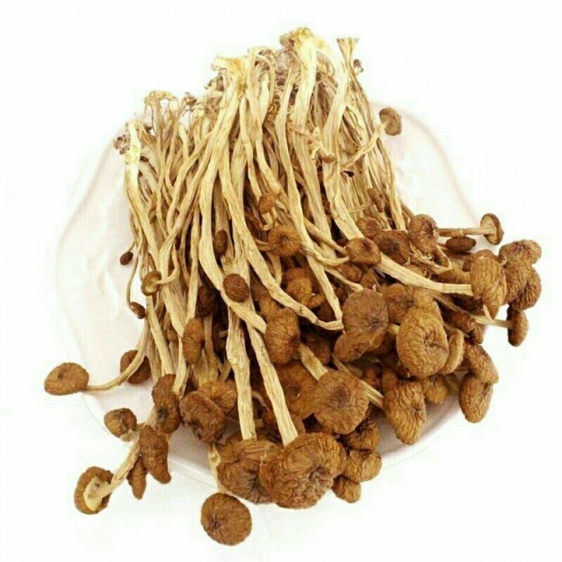 Factory Wholesale High Quality Organic Tea Mushrooms Air Dried Tea Tree Shitake Mushrooms Bulk Wild Health Food Raw Mushroom 1kg