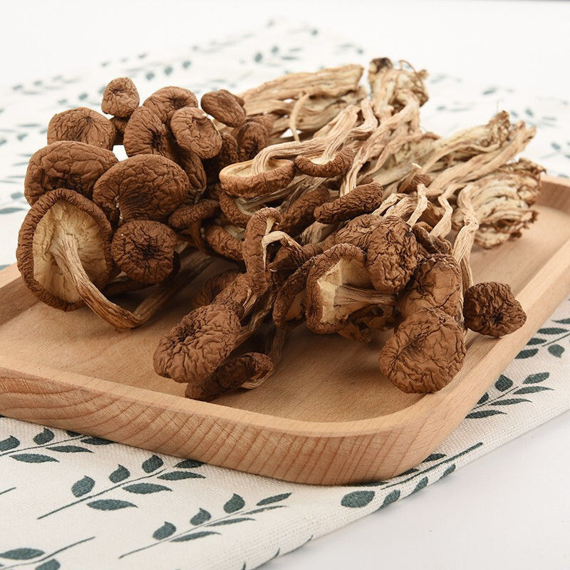 Hot Sales Nutritious Food Agrocybe Mushroom China Healthy Food Velvet Mushroom Tea Tree Mushroom For Wholesales