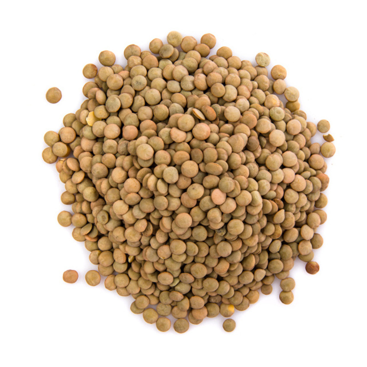 Lentils high quality green lentils bulk price