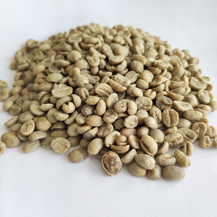 Wholesale Yunnan High Quality Coffee Beans With Best Price Arabica Beans For Import Good Quality Raw Coffee Beans