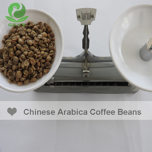 2023 crop Chinese High Quality Raw Arabica Coffee Beans